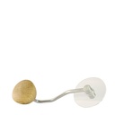Comandante Crank & Lid - Clear