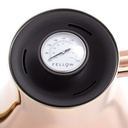 Fellow Stagg Kettle - Copper