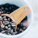 V60 Measuring Spoon Wood