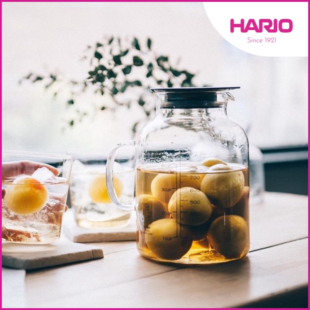 VINEGAR'S Fruit Pot [VFP-1000-B] Hario 