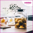 VINEGAR'S Fruit Pot [VFP-1000-B] Hario 