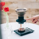 Hario Immersion Switch Coffee Dripper Server Set (V60-02)