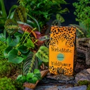 WildPower Brazil Despalada - yerba mate 400g