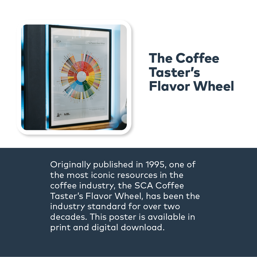 The Coffee Taster's Flavor Wheel - SCA
