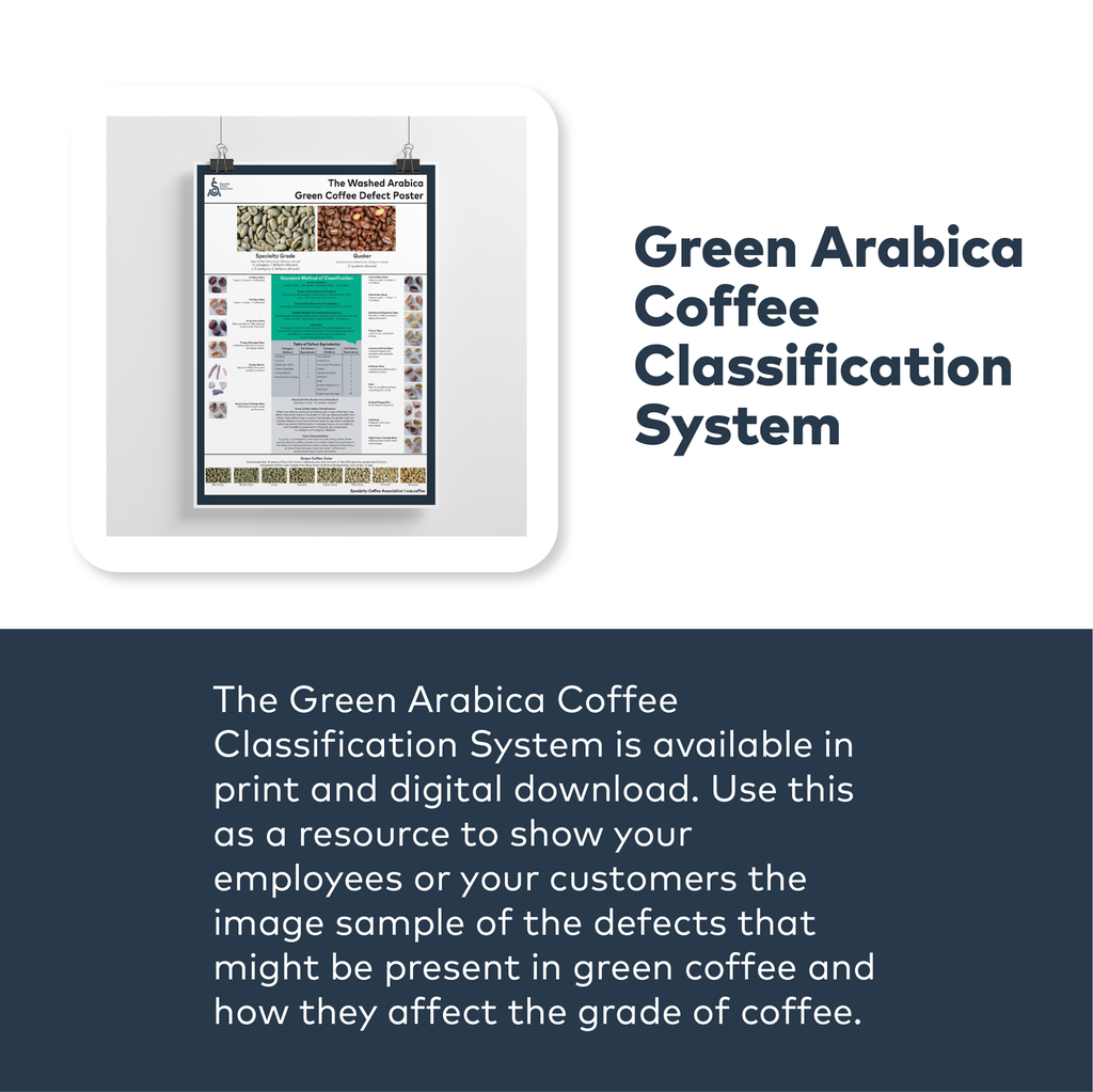 SCA Green Arabica Coffee (Defect) Classification Poster