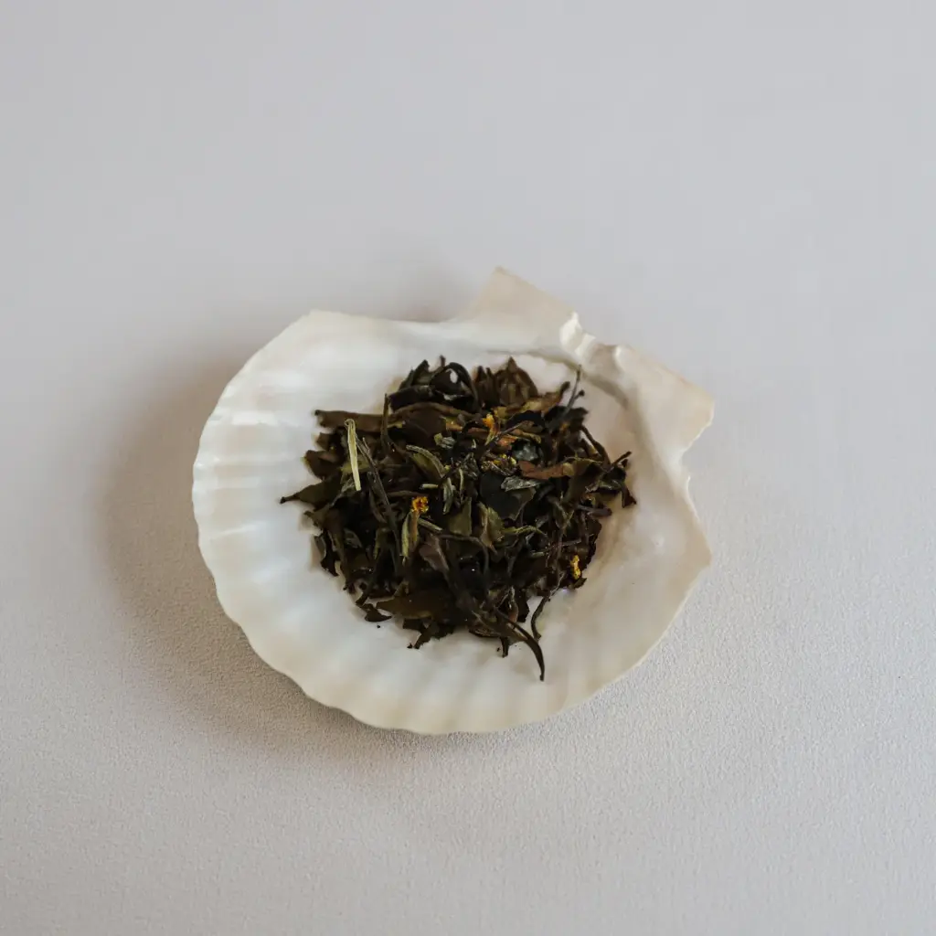 150 White Elderflower Champagne 3.webp