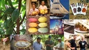 Chocolatemakers Bio Fair Trade Zeiltjes Melk 52% Cacaonibs