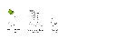 Renew-Descaler-Direction-Coffee.webp
