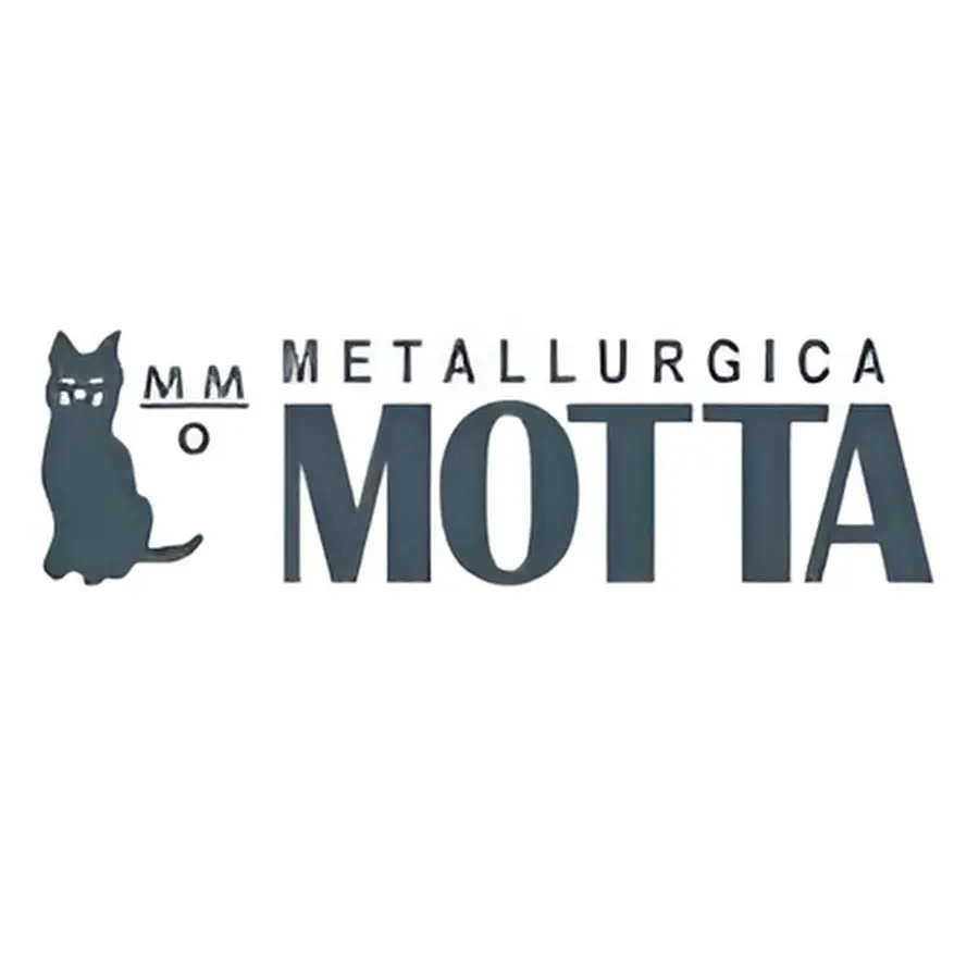 motta logo.webp