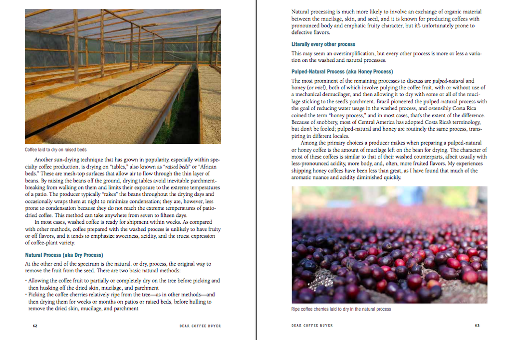 Dear Coffee Buyer - A guide to sourcing green coffee - Ryan Brown