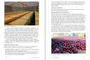 Dear Coffee Buyer - A guide to sourcing green coffee - Ryan Brown