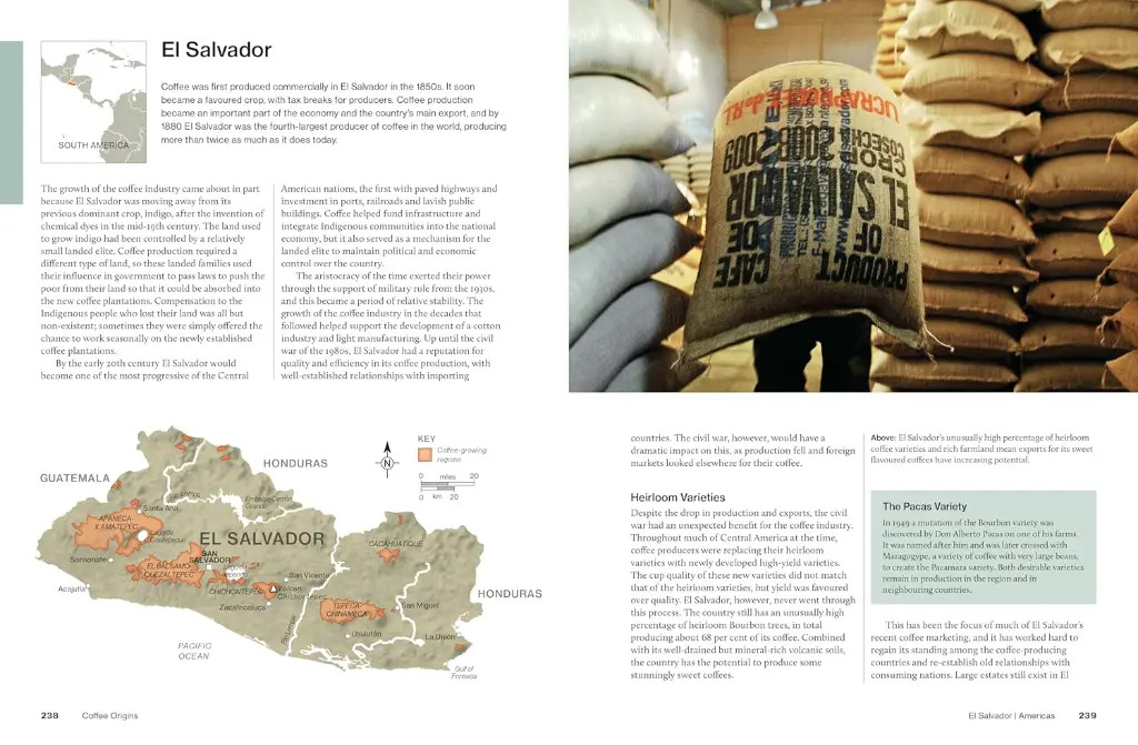 The World Atlas of Coffee 3rd edition 7.webp