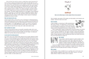 Dear Coffee Buyer - A guide to sourcing green coffee - Ryan Brown