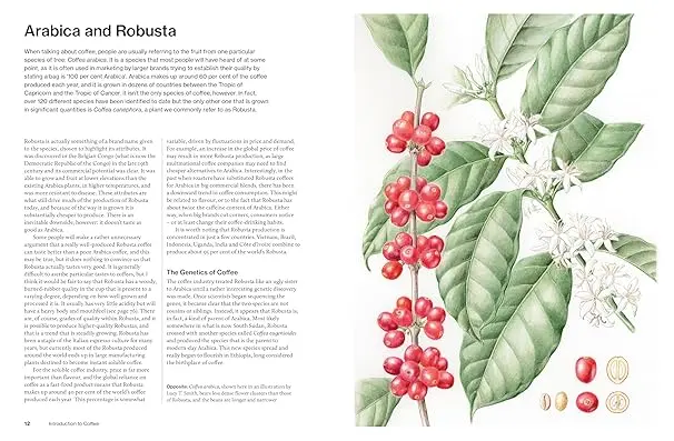 The World Atlas of Coffee 3rd edition 3.webp