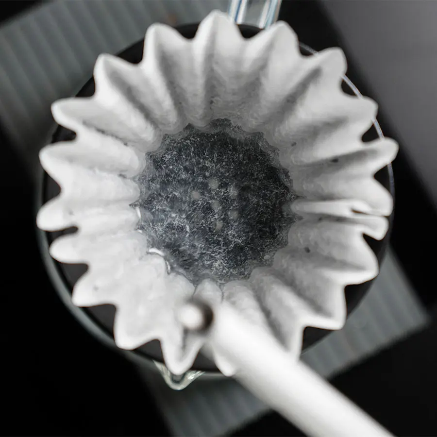 [GCSBLA] Graycano Coin - Black 5.webp