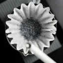 [GCSBLA] Graycano Coin - Black 5.webp