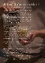 loveramics dale harris 2.webp