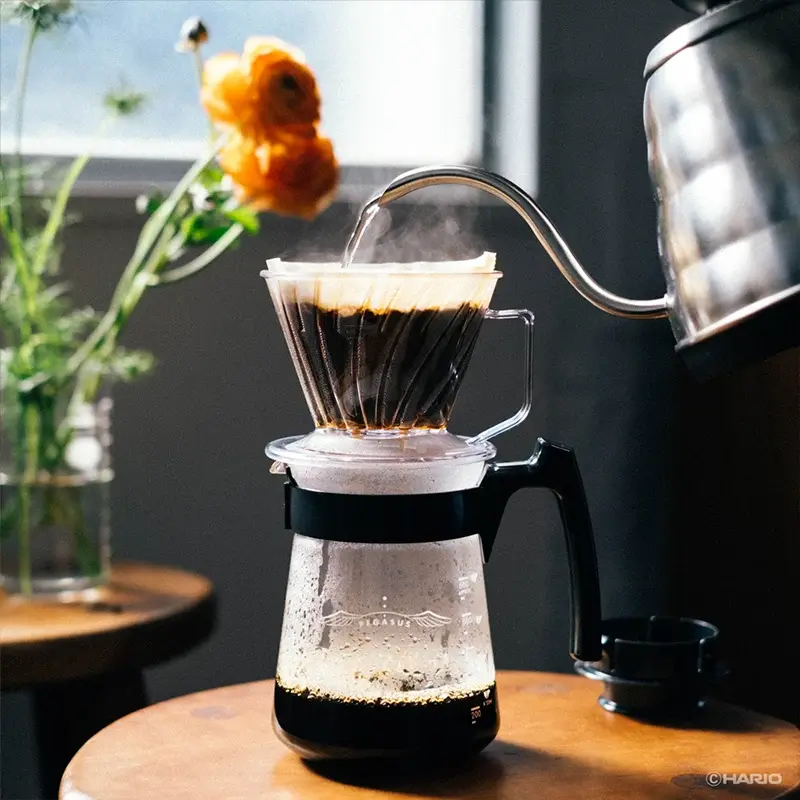 Hario - Pegasus Coffee Server 3.webp