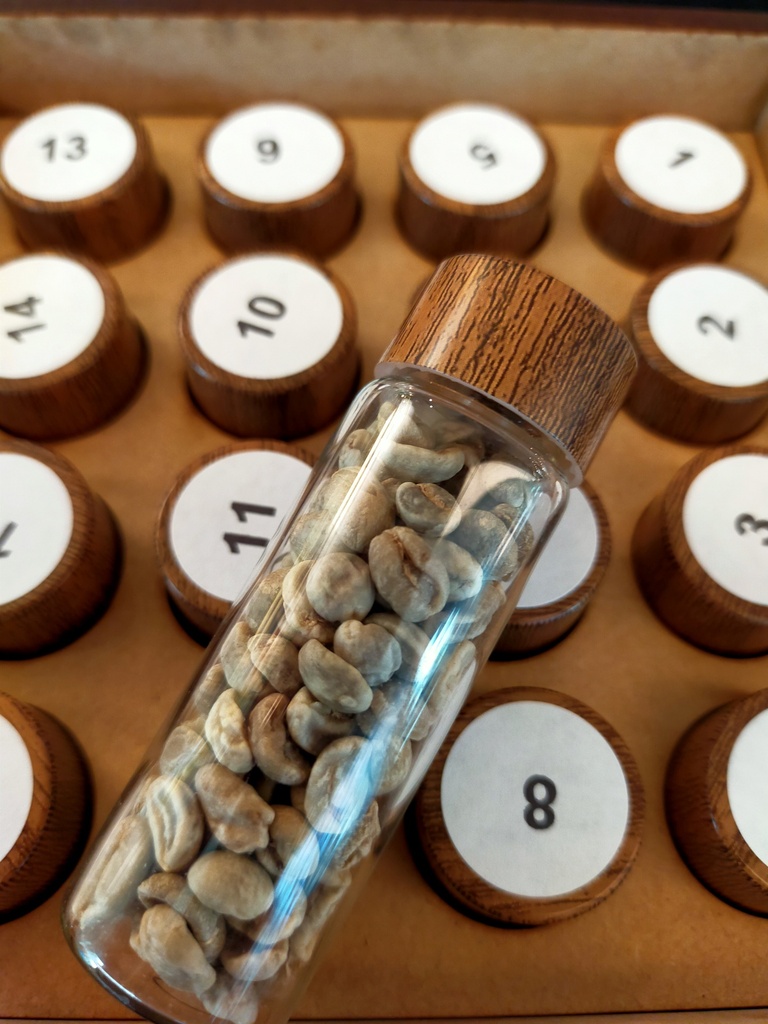 Green Coffee Defects - Training & Reference Kit