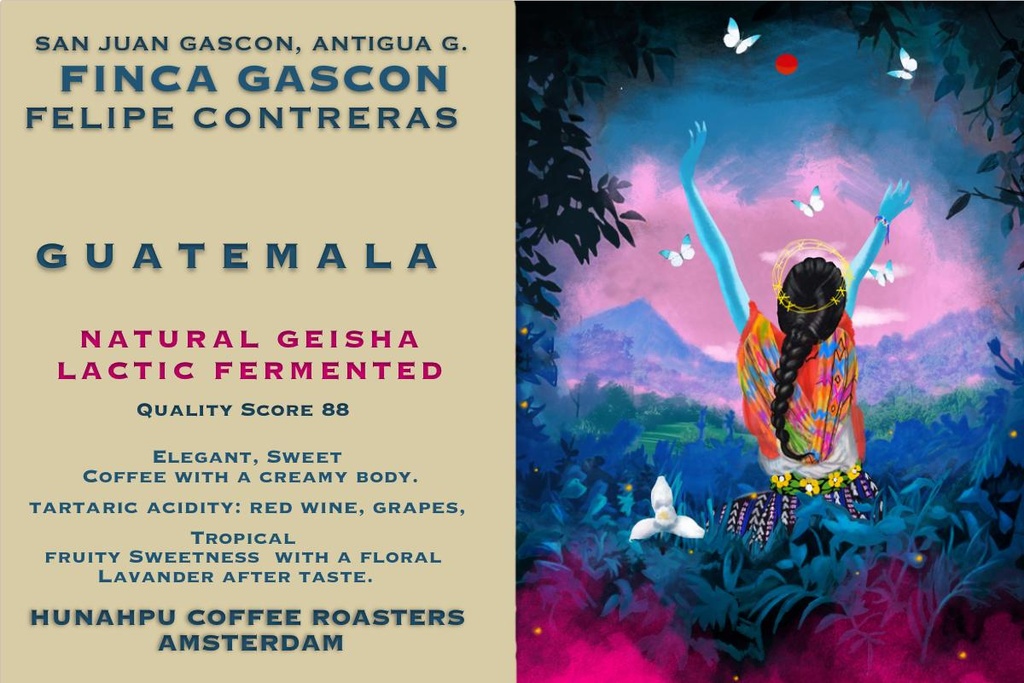 Finca Gascon - Felipe Contreras - Natural Geisha Lactic Fermented - Guatemala