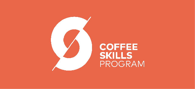 SCA exam & certificate - Professional
