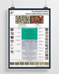 SCA Green Arabica Coffee (Defect) Classification Poster
