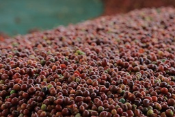 FJ filter blend - Fruity & Juicy